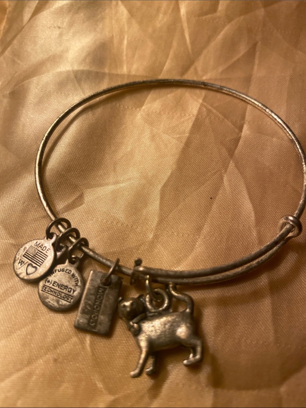 Alex and Ani Silver monopoly collection Cat Charm Bangle Bracelet